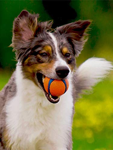 Chuckit! Ultra Ball