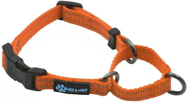 Max and Neo Nylon Martingale Collar - We Donate a Collar to a Dog Rescue for Every Collar Sold