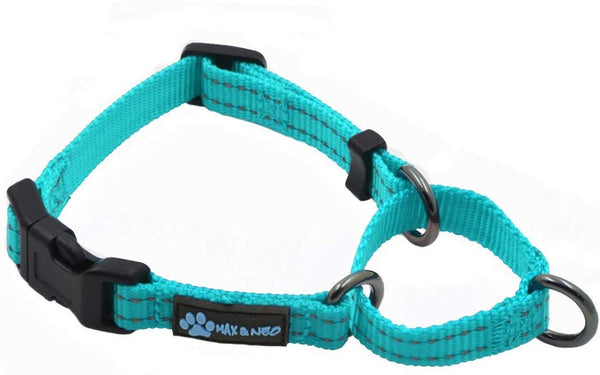 Max and Neo Nylon Martingale Collar - We Donate a Collar to a Dog Rescue for Every Collar Sold