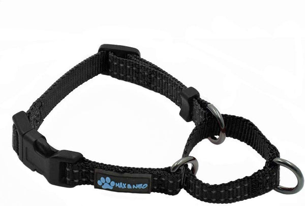 Max and Neo Nylon Martingale Collar - We Donate a Collar to a Dog Rescue for Every Collar Sold