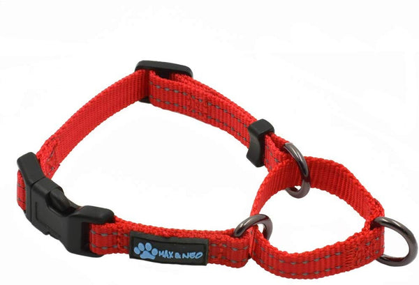 Max and Neo Nylon Martingale Collar - We Donate a Collar to a Dog Rescue for Every Collar Sold