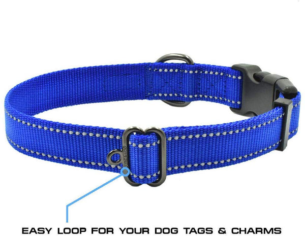 Max and Neo NEO Nylon Buckle Reflective Dog Collar - We Donate a Collar to a Dog Rescue for Every Collar Sold