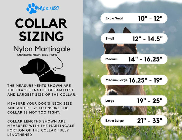 Max and Neo Nylon Martingale Collar - We Donate a Collar to a Dog Rescue for Every Collar Sold