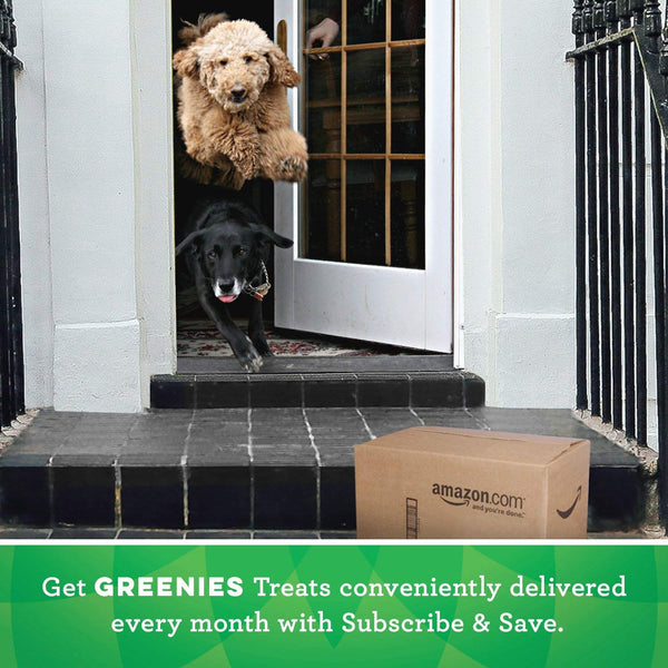 Greenies Original Regular Dental Dog Treats