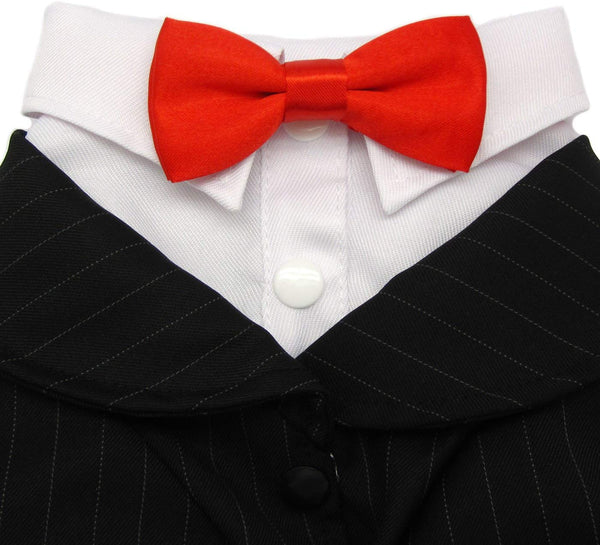 Alfie Pet - Oscar Formal Tuxedo with Black Tie and Red Bow Tie