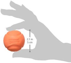 ChuckIt! Fetch Ball Dog Toys - 4 Sizes (Colors Vary)