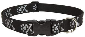 LupinePet Originals 1" Bling Bonz Adjustable Collar for Dogs