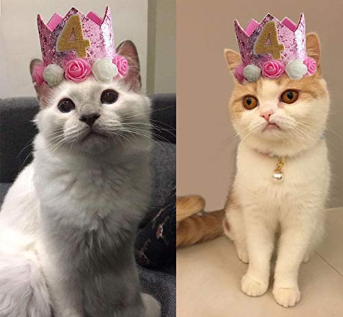 JAMSTONE Crown Dog Birthday Hat Reusable Cat Dog Headwear Caps Adorable Puppy Kitten Flower Birthday Headdress Pet Birthday Costume