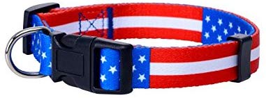 Native Pup American Flag Dog Collar |4th of July| USA Patriotic Flag Pattern| 12 Designs