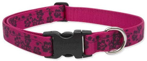 Lupine 1-Inch Plum Blossom Adjustable Dog Collar