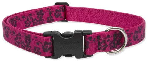 Lupine 1-Inch Plum Blossom Adjustable Dog Collar