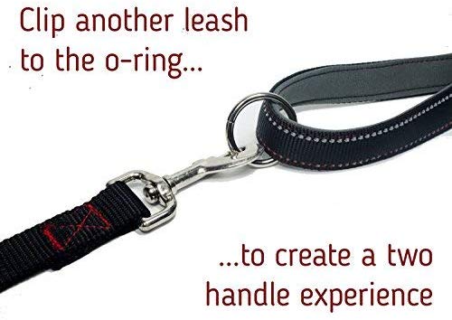 Leashboss Short Dog Leash with Padded Handle - 12, 18 and 24 Inch Reflective Leads with O-Ring - 1 Inch Wide Nylon for Training Medium and Large Dogs