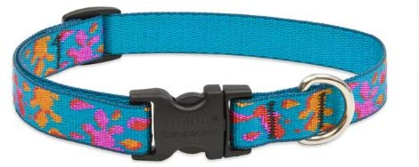 Lupine Pet Wet Paint Adjustable Dog Collar