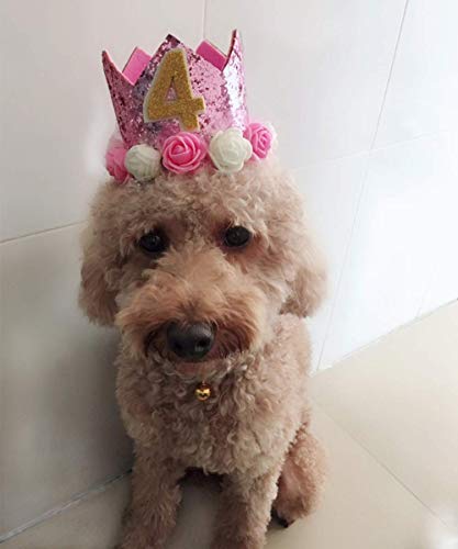 JAMSTONE Crown Dog Birthday Hat Reusable Cat Dog Headwear Caps Adorable Puppy Kitten Flower Birthday Headdress Pet Birthday Costume