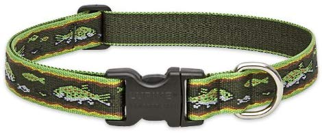 Lupine Pet Brook Trout 1" Adjustable Large Dog Collar