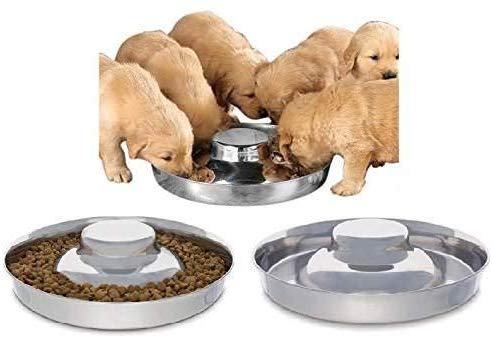 King International Stainless Steel Dog Bowl 2 Puppy Litter Food Feeding Weaning|SilverStainless Dog Bowl Dish| Set of 2 Pieces | 29 cm - for Small/Medium/Large Dogs, Pets Feeder Bowl and Water Bowl