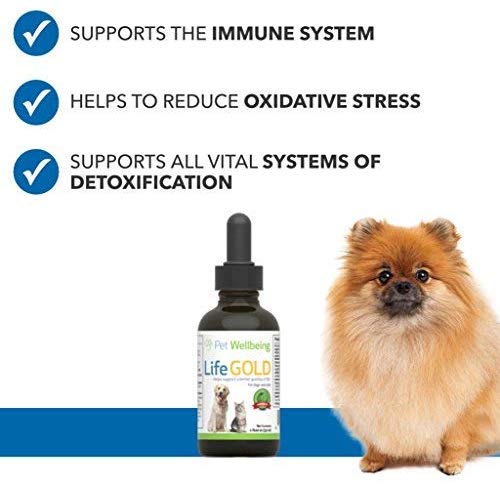 Pet Wellbeing - Life Gold For Dogs - Immune system support and antioxidant protection for canines with cancer 2 oz (59ml)