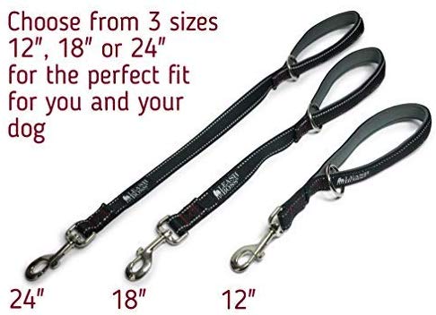 Leashboss Short Dog Leash with Padded Handle - 12, 18 and 24 Inch Reflective Leads with O-Ring - 1 Inch Wide Nylon for Training Medium and Large Dogs