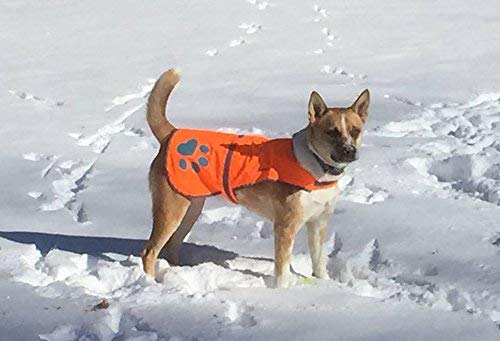 SafetyPUP XD - Protect Your Best Friend. Our Hi-Vis Fluorescent, Reflective Dog Vest Provides Crucial Visibility Helping You Safeguard Your Pet from Cars & Hunting Accidents, On or Off Leash