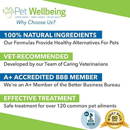 Pet Wellbeing - Life Gold For Dogs - Immune system support and antioxidant protection for canines with cancer 2 oz (59ml)