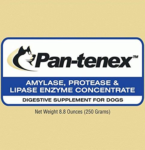 Pan-tenex | 10x Digestive Enzymes for Dogs - 8.8 Ounces (250 Grams)