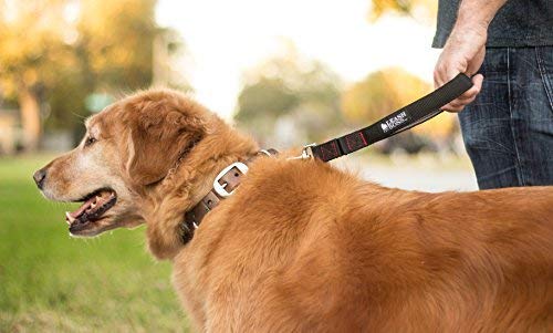 Leashboss Short Dog Leash with Padded Handle - 12, 18, and 24 Inch Leads for Large Dogs - 1 Inch Nylon