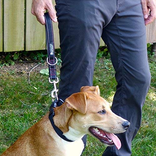 Leashboss Short Dog Leash with Padded Handle - 12, 18 and 24 Inch Reflective Leads with O-Ring - 1 Inch Wide Nylon for Training Medium and Large Dogs