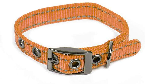 Max and Neo MAX Reflective Metal Buckle Dog Collar - We Donate a Collar to a Dog Rescue for Every Collar Sold