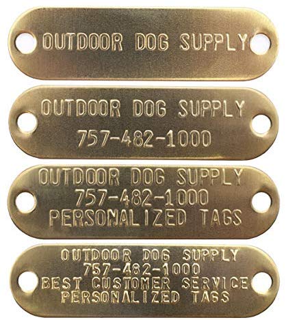 Outdoor Dog Supply's 1" Wide Solid Color Ring in Center Dog Collar Strap with Custom Brass Name Plate