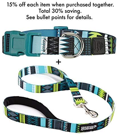 Friends Forever Durable Nylon Dog Leashes for Small Dogs to Large Dogs, Pattern Cat Leashes for Walking - Puppy Leash 5 Feet Long for Dogs & Cats