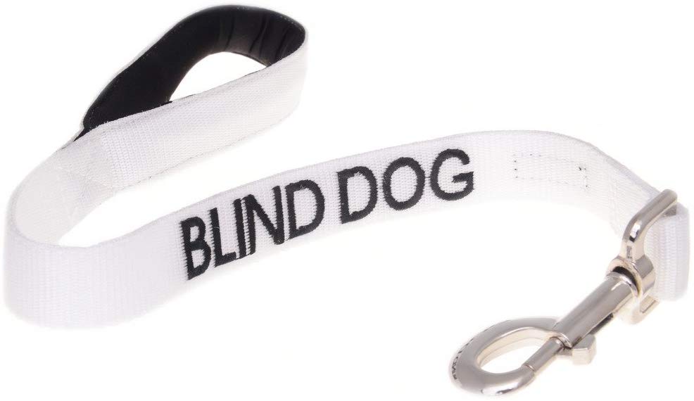 BLIND DOG White Color Coded Alert Warning 2 4 6 Foot Padded Dog Leash (No\/Limited Sight) PREVENTS Accidents By Warning Others of Your Dog in Advance