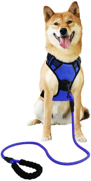 Raining Pet No Pull Dog Harness Dogs Leash Set, Reflective Dog Harness for Large, Medium,Extra Large Dog Breeds