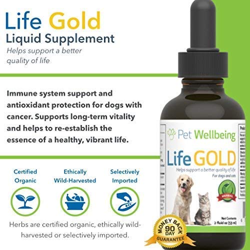 Pet Wellbeing - Life Gold For Dogs - Immune system support and antioxidant protection for canines with cancer 2 oz (59ml)