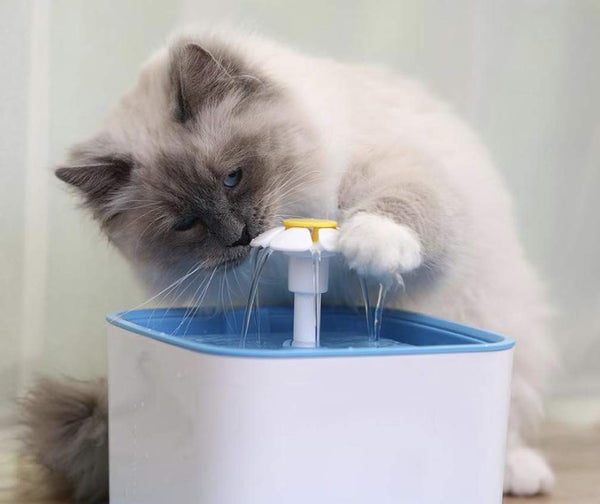 Purrfect World Cat and Dog Water Fountain w/Carbon - Ion Exchange Filter : 84 Oz / 2.5L Capacity : Provides Fresh Filtered Water for Your Pet