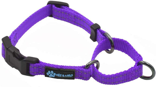Max and Neo Nylon Martingale Collar - We Donate a Collar to a Dog Rescue for Every Collar Sold