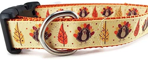 Thanksgiving Dog Collar, Caninedesign, Autumn, Fall, Turkey, 1 inch Wide, Adjustable, Nylon, Medium Large