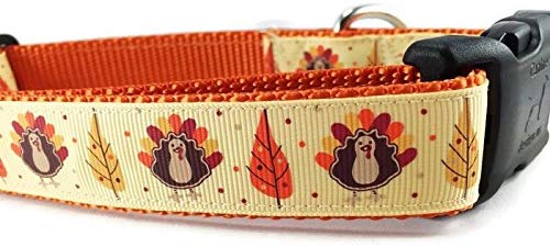 Thanksgiving Dog Collar, Caninedesign, Autumn, Fall, Turkey, 1 inch Wide, Adjustable, Nylon, Medium Large