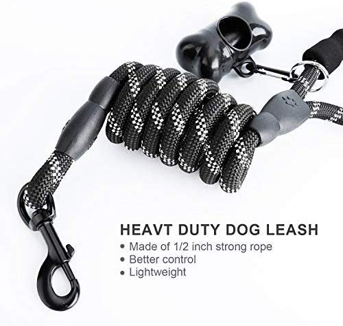 Toozey 5 FT Dog Leash, Rope Leash with Comfortable Padded Handle and Reflective Threads, Heavy Duty Braided Leash for Medium Large Dogs