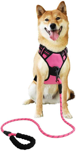 Raining Pet No Pull Dog Harness Dogs Leash Set, Reflective Dog Harness for Large, Medium,Extra Large Dog Breeds