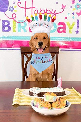 Dog Birthday Bandana with Birthday Candle Headband - Pet Birthday Gift Decorations Set, Soft Scarf & Adorable Hat for Party Accessory