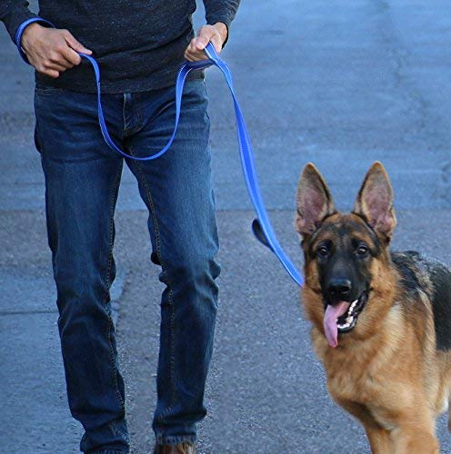 Max and Neo Triple Handle Traffic Dog Leash Reflective - We Donate a Leash to a Dog Rescue for Every Leash Sold