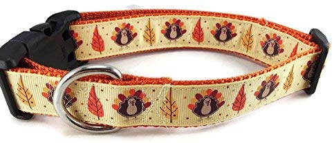 Thanksgiving Dog Collar, Caninedesign, Autumn, Fall, Turkey, 1 inch Wide, Adjustable, Nylon, Medium Large