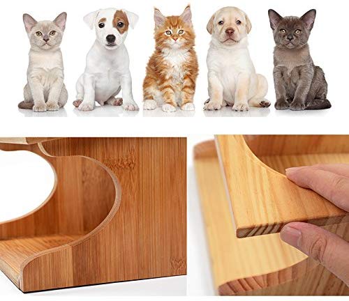 Petacc Durable Pet Bowl Stainless Steel Bowl for Cats Eco-Friendly Dog Bowls and 3 Bowl Dog Feeder