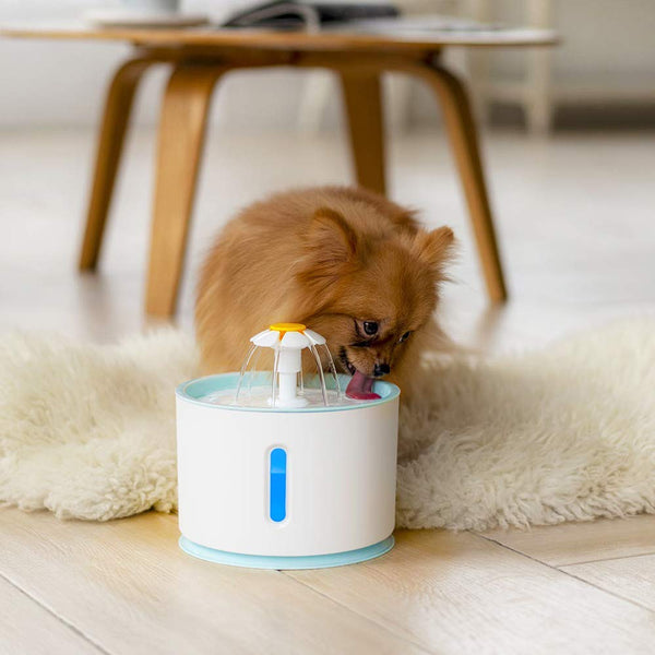 Petilleur Pet Water Fountain Automatic Water Feeder 2.4L with Light and Water Level Window, Drinking Fountain for Cats and Dogs with USB Connector, 2 Filters Included