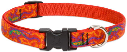 Lupine 3\/4 Inch Go Go Gecko Adjustable Dog Collar for Small to Large Dogs