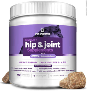 Pet Parents USA Dog Joint Supplement - Glucosamine for Dogs 4g 90c - Dog Arthritis Supplement - Glucosamine Chondroitin for Dogs + MSM for Dogs & Green Lipped Mussel - Hip & Joint Supplement for Dogs