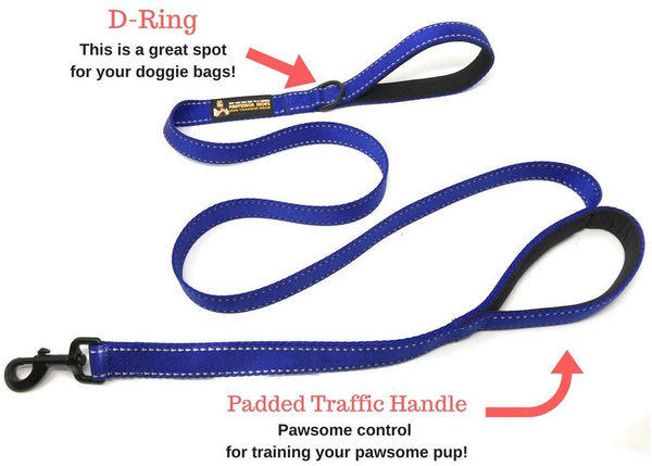 Buy One Give One To A Rescue Pawfessor Dion's Dog Training Gear Pawfessor Dion's 6ft Reflective Double Handle Traffic Dog Leash - Buy One and We Donate One to a Dog Rescue