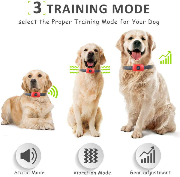 HOTLEA Dog Shock Collar with Remote, IP67 Waterproof Dog Training Collar, 3 Training Modes Suitable for Small/Medium/Large Dogs, up to 1300Ft Remote Range