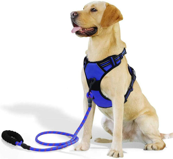 Raining Pet No Pull Dog Harness Dogs Leash Set, Reflective Dog Harness for Large, Medium,Extra Large Dog Breeds