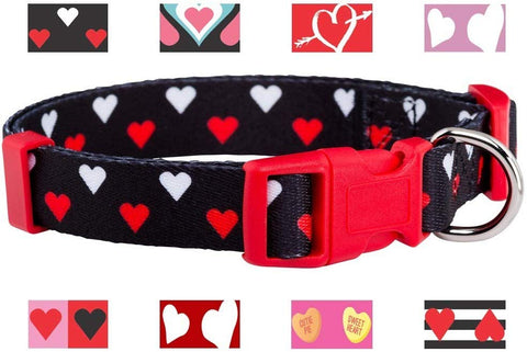 Native Pup Valentine's Day Heart Dog Collar